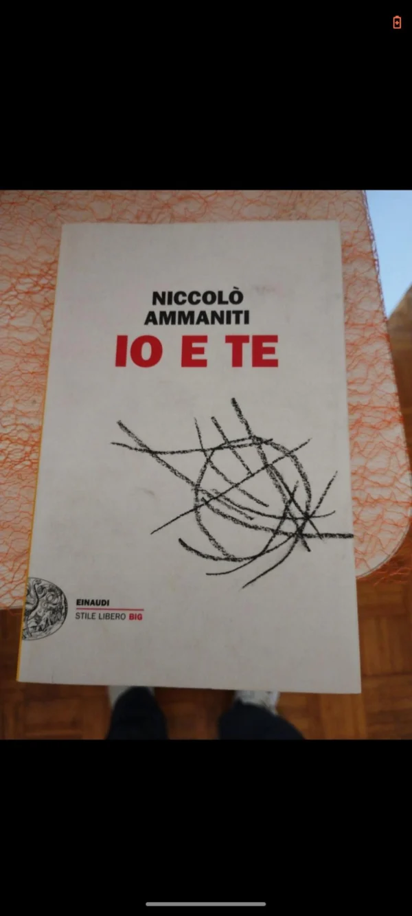 Libro ammaniti Libro da scambiare - Altri Collezionabili a Bergamo - foto 1